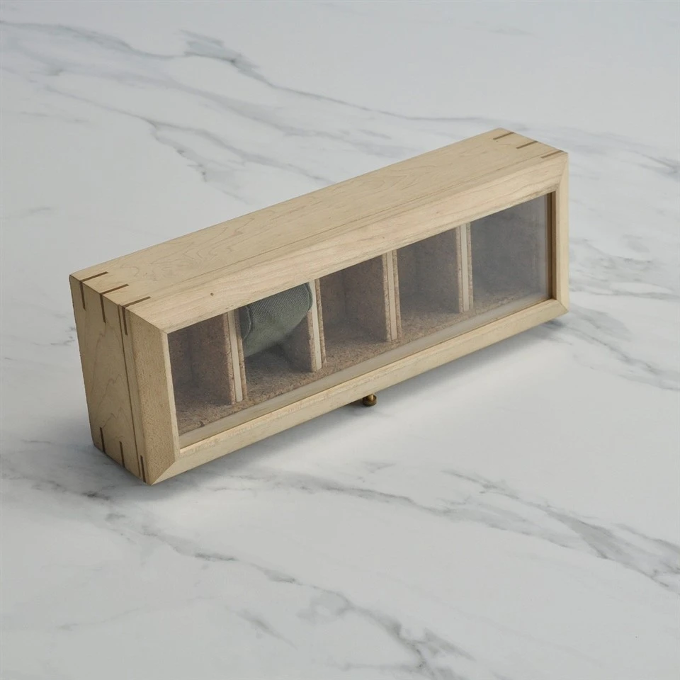 Watch display case